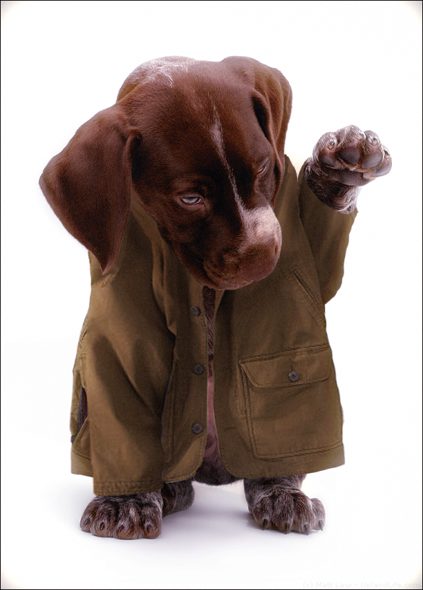 Photoshop-Design von nocturnal654 für DesignCrowd (Community Contests) | Design #8973765