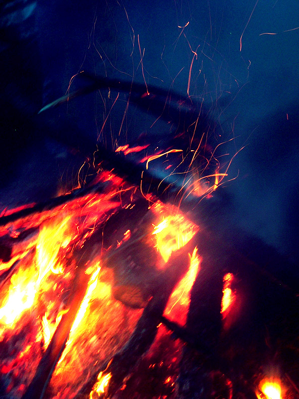 Fotografie von jen2203 für DesignCrowd (Community Contests) | Design #8972923