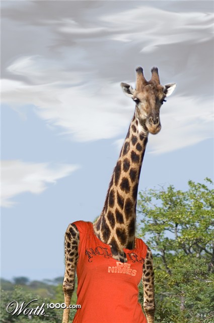 Photoshop Design by drumsman47