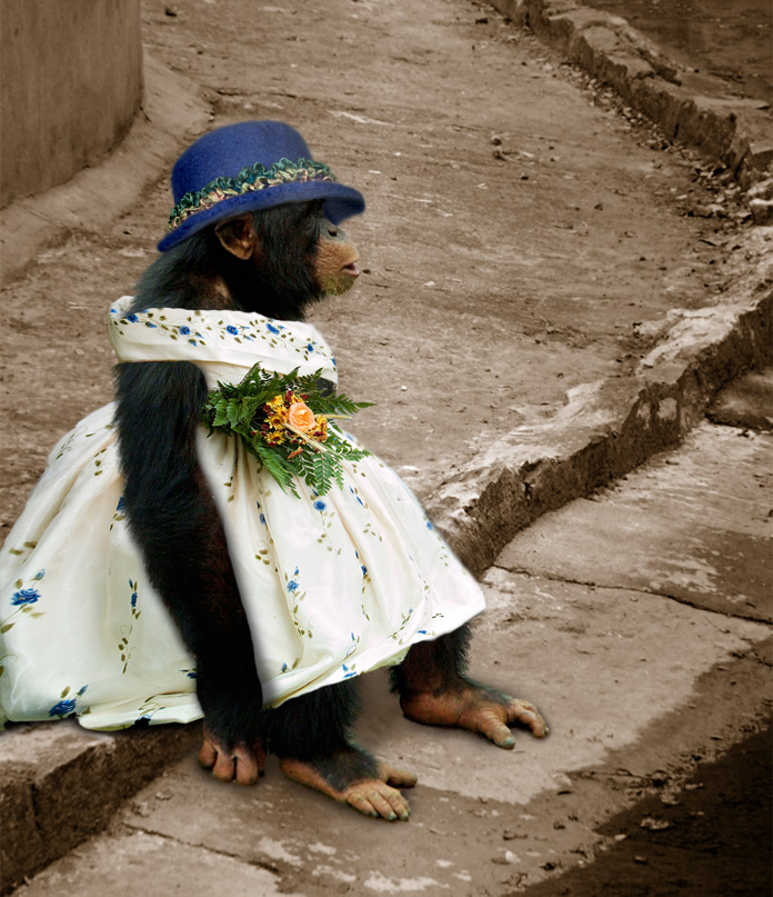 Photoshop Design by lucimine for DesignCrowd (Community Contests) | Design #8973882