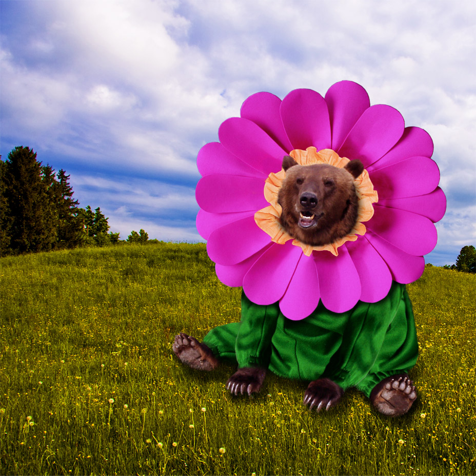 Design Photoshop par lostlittlegirl pour DesignCrowd (Community Contests) | Design #8973893