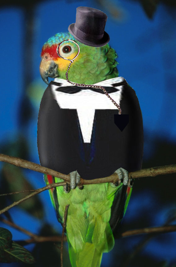 Photoshop Design by WorthyNick for DesignCrowd (Community Contests) | Design #8973869