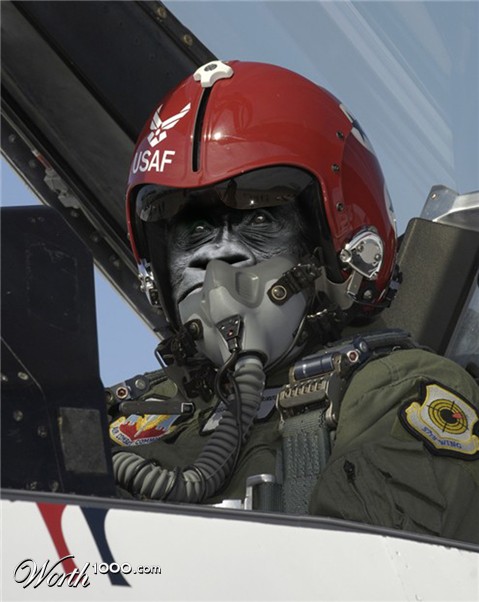 Photoshop Design by copycatfish