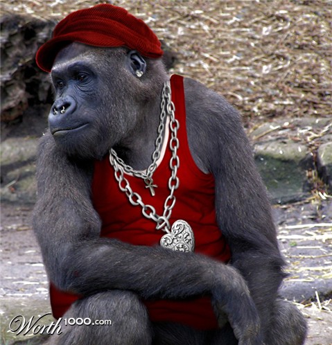 Photoshop Design by ushurani