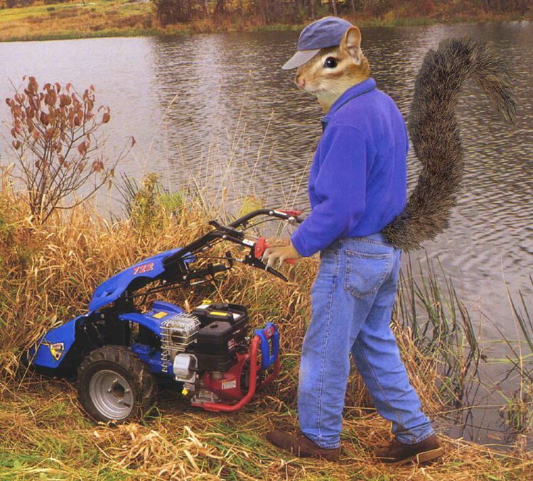 Photoshop Design by ConnieB for DesignCrowd (Community Contests) | Design #8973955