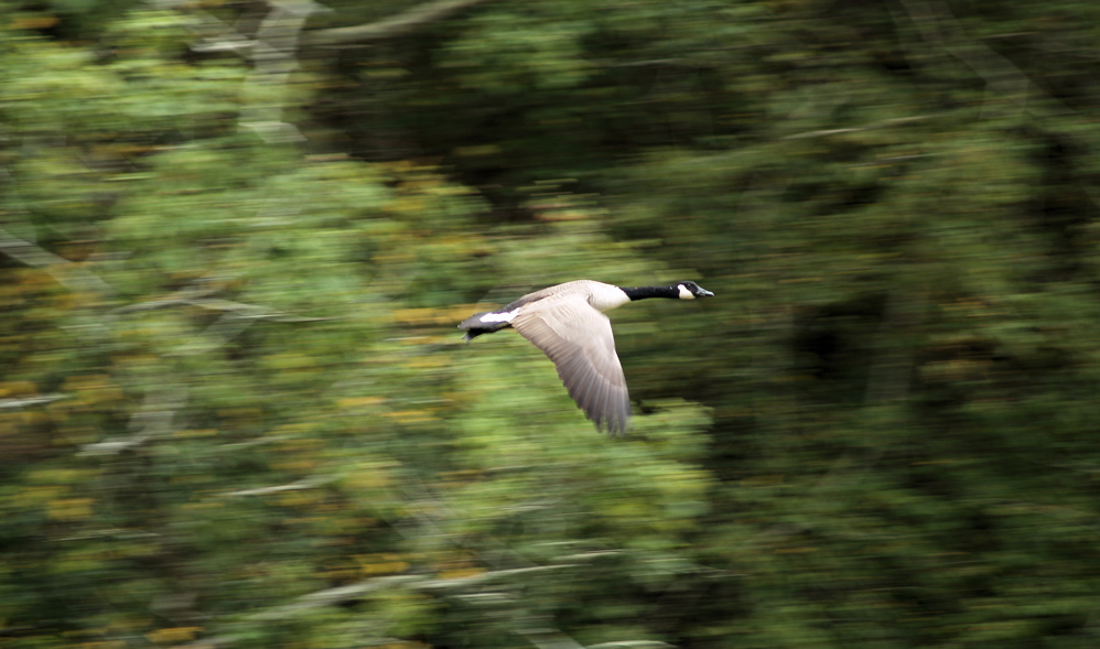 Photography by alxkueyar for DesignCrowd (Community Contests) | Design #8975193