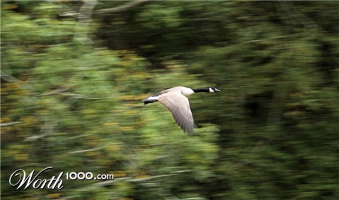 Photography by alxkueyar