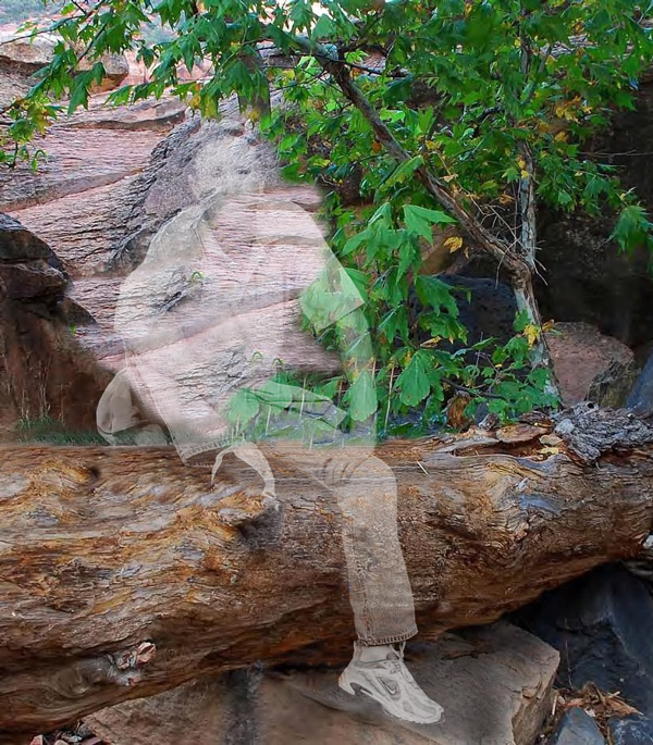 Diseño de Photoshop por Chimmi para DesignCrowd (Community Contests) | Diseño #8978543