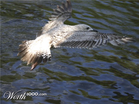 Photography by gazzara