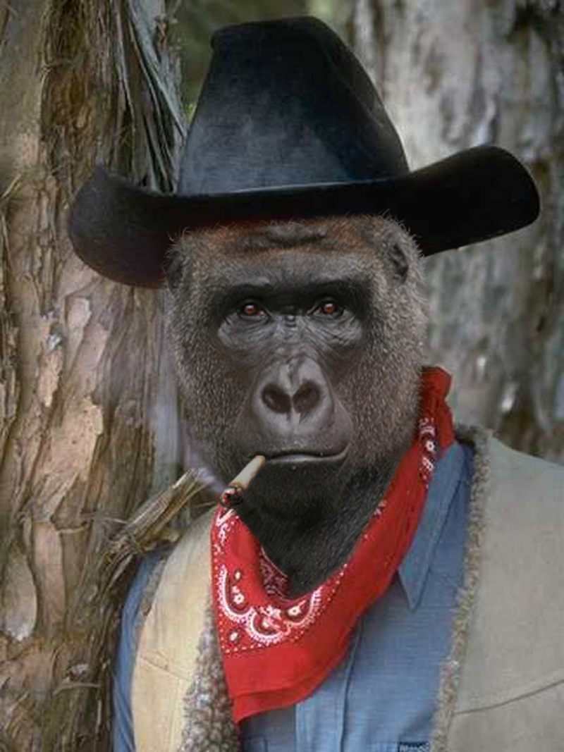 Photoshop-Design von WinoBucky für DesignCrowd (Community Contests) | Design #8972931