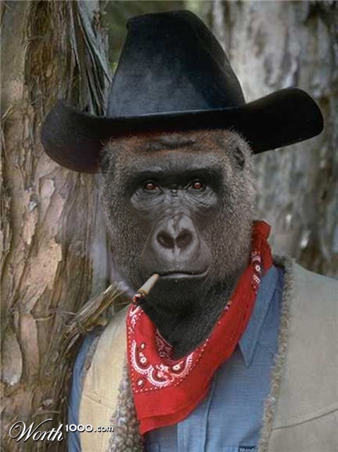 Photoshop Design by WinoBucky