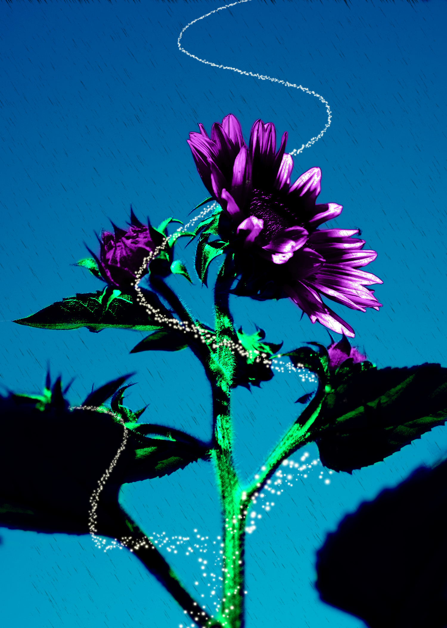 Photoshop-Design von SheilaJames03 für DesignCrowd (Community Contests) | Design #8972770