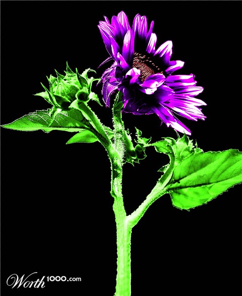 Photoshop Design by hayarahs