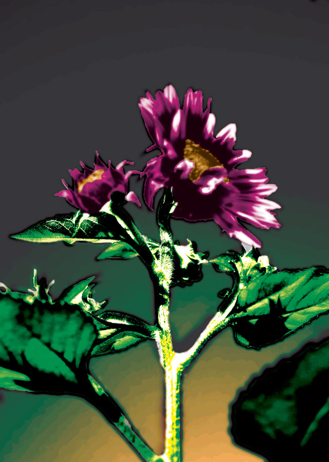 Photoshop Design by eleena07 for DesignCrowd (Community Contests) | Design #8972844