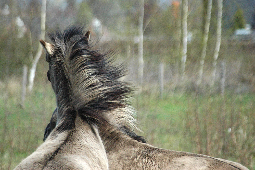 Photography by Roel1969 for DesignCrowd (Community Contests) | Design #8975256