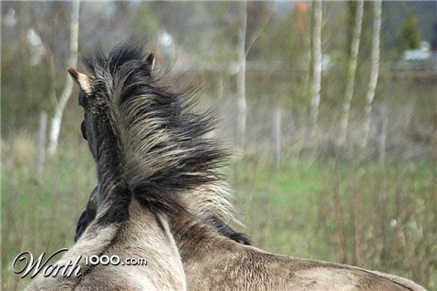 Photography by Roel1969