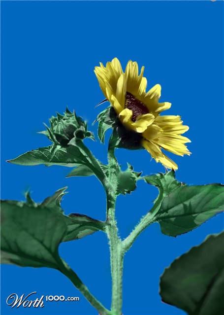 Photoshop Design by LuBsJP