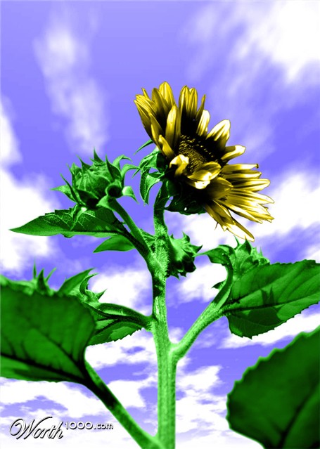 Photoshop Design by vabs100