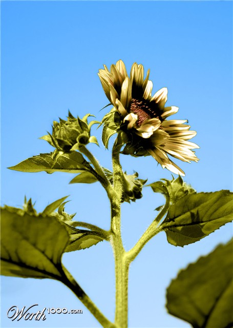 Photoshop Design by colleague