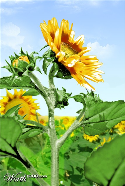 Photoshop Design by Biddee