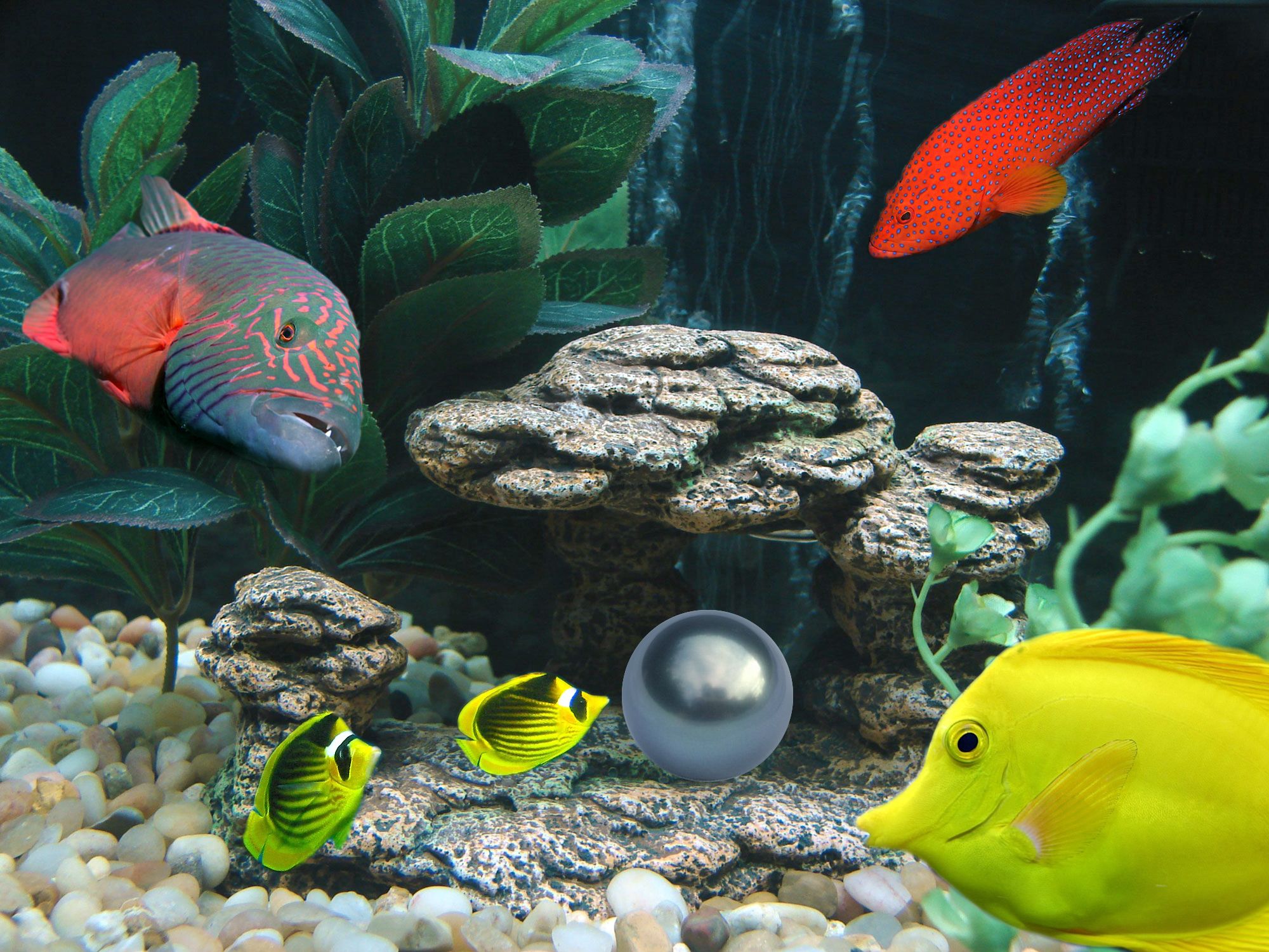 Photoshop Design by annetand for DesignCrowd (Community Contests) | Design #8974317