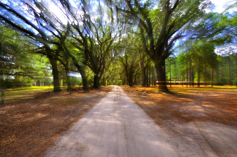 Photography by dragonwolf125 for DesignCrowd (Community Contests) | Design #8975240