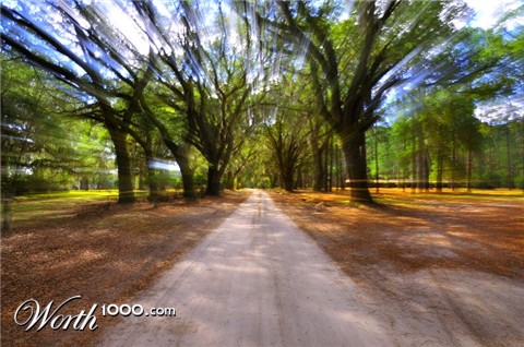 Photography by dragonwolf125