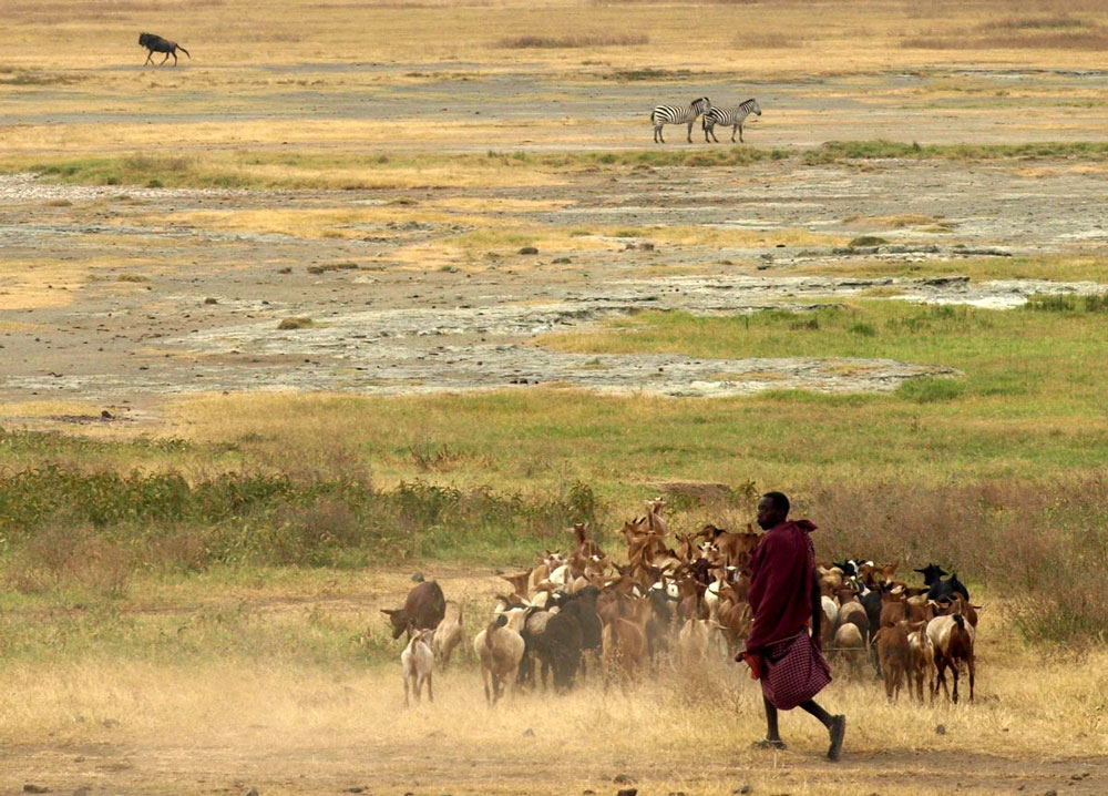 Photography by Featherlake for DesignCrowd (Community Contests) | Design #8971927