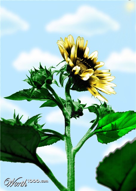 Photoshop Design by kelliandjay