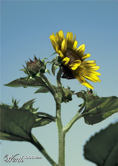 Photoshop Design by portboy76