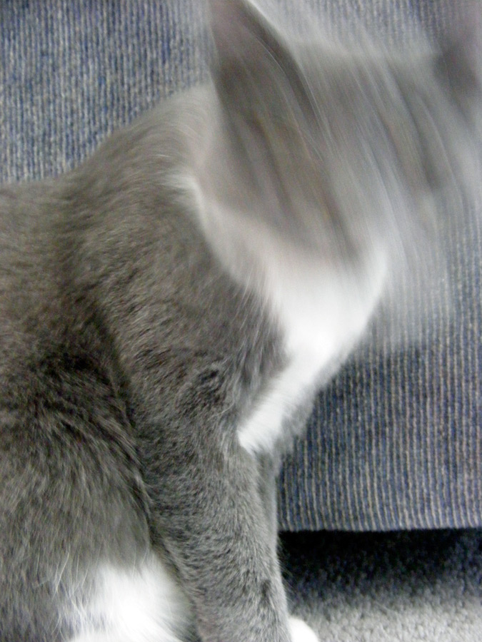 Photography by imthinkingoutloud for DesignCrowd (Community Contests) | Design #8975226