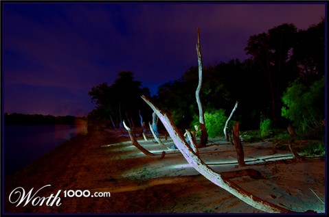 Photography by greenlava