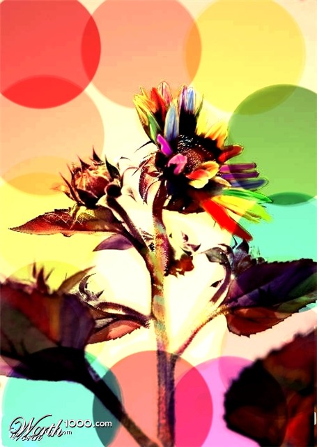 Photoshop Design by wtfayla