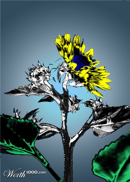 Photoshop Design by Gelder