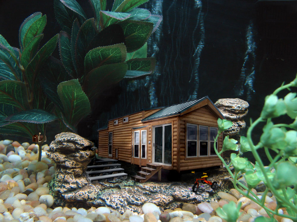 Photoshop Design by Themus for DesignCrowd (Community Contests) | Design #8974354