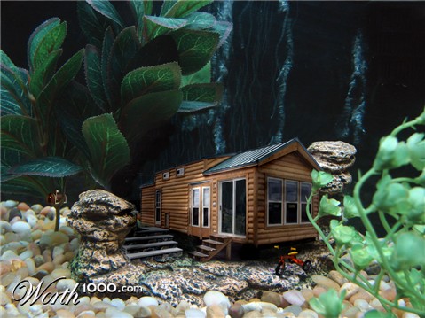 Photoshop Design by Themus