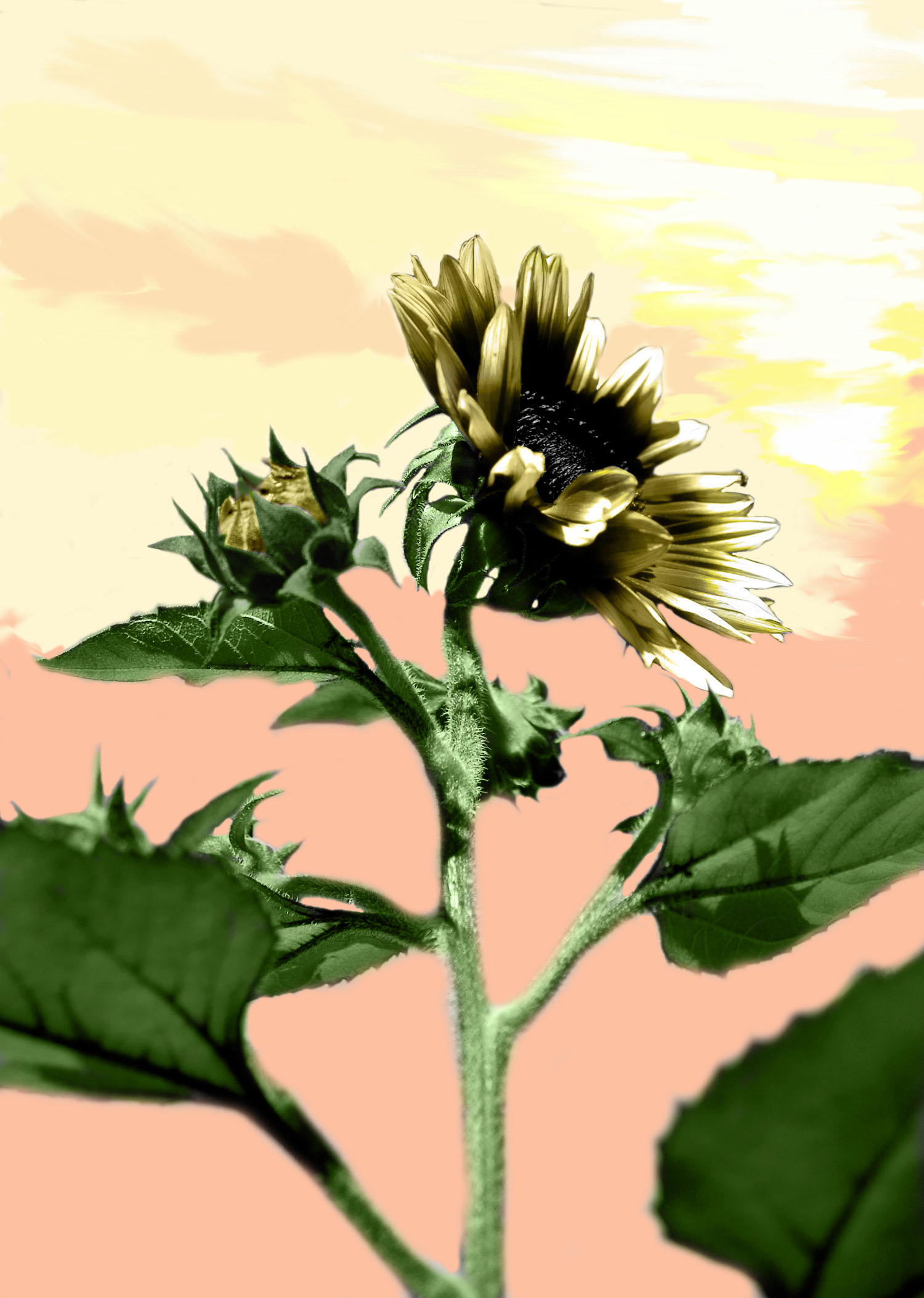 Photoshop Design by Hedda89 for DesignCrowd (Community Contests) | Design #8973212