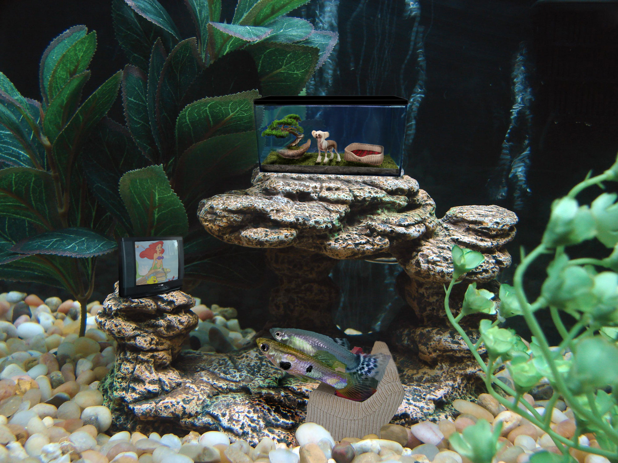 Photoshop Design by Piefke for DesignCrowd (Community Contests) | Design #8974343