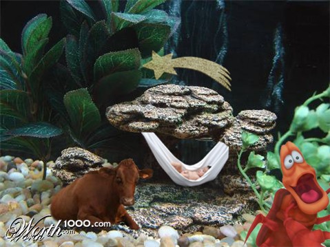 Photoshop Design by pisapdales