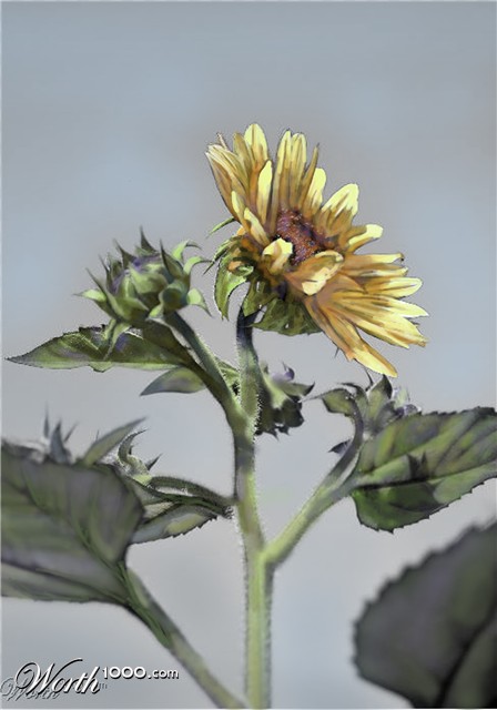 Photoshop Design by Denase