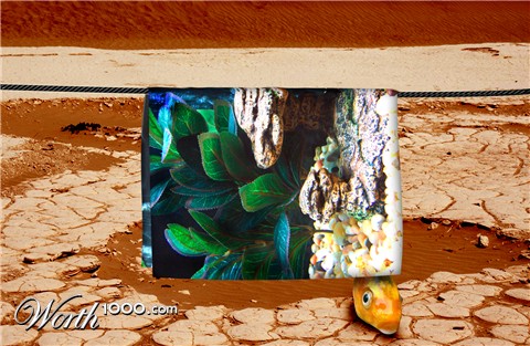 Photoshop Design by arorias