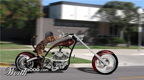 Photoshop Design by sheriad