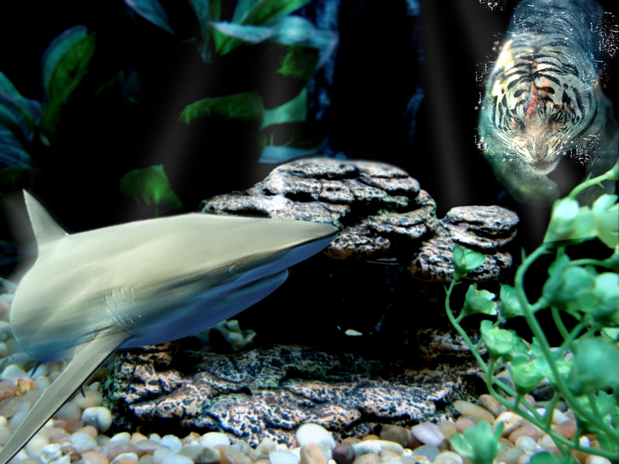 Photoshop Design by MagicEight for DesignCrowd (Community Contests) | Design #8974407