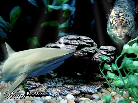 Photoshop Design by MagicEight