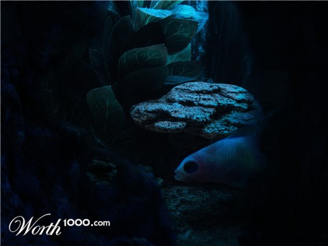 Photoshop Design by Spritza