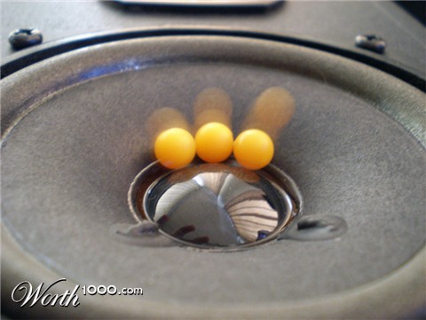 Photography by amirbse