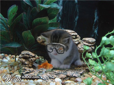 Photoshop Design by jcsheng505