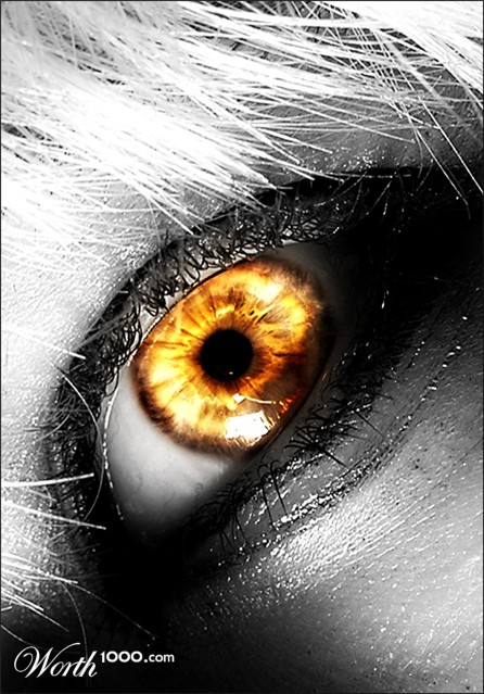 Photography by h4ch3x