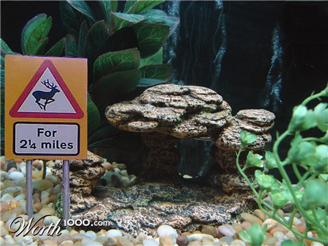 Photoshop Design by StupidNutter