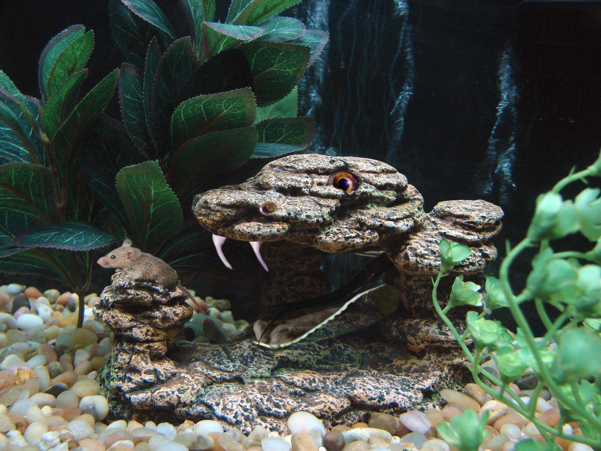 Photoshop Design by NobGoblin for DesignCrowd (Community Contests) | Design #8974502